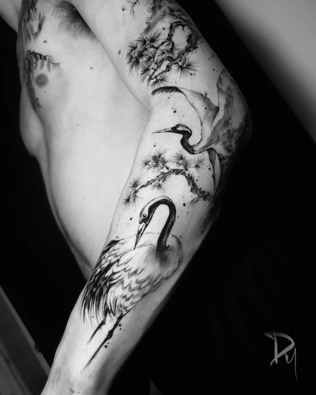 Past work 12