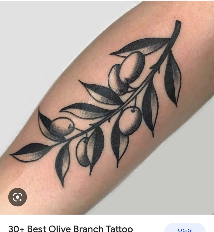 Pin by Nicole Elizabeth on Tattoo ideas | Olive tattoo, Olive tree tattoos, Olive branch tattoo