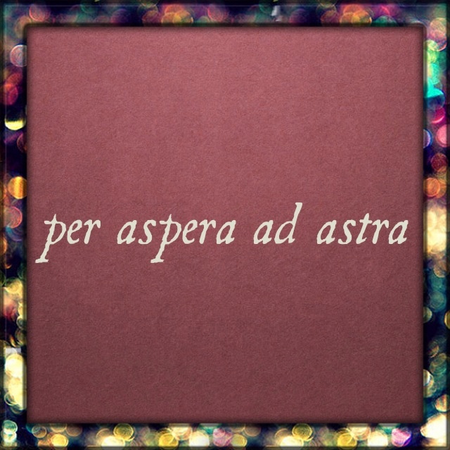 The one tattoo I'd get. "through hardships to the stars" in Latin