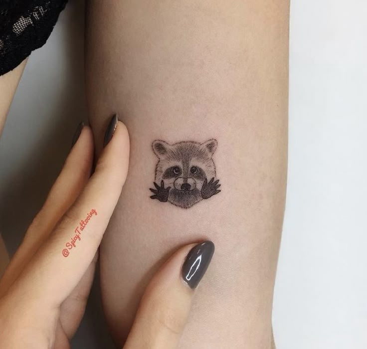 Pin by Kelly Brann Oldham on Miranda | Raccoon tattoo, Mini tattoos,  Minimalist tattoo