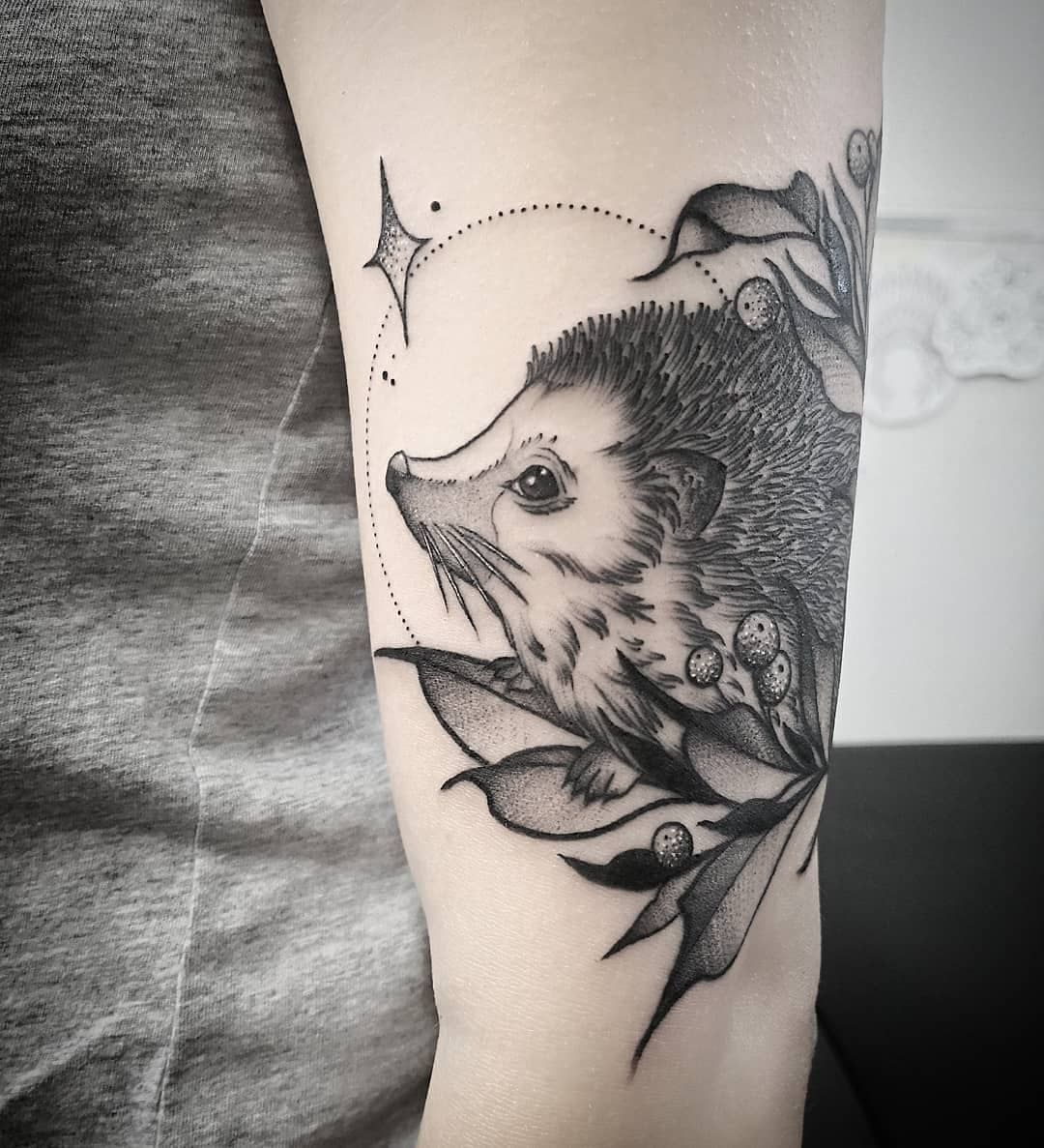 12 Hedgehog tattoo ideas | hedgehog tattoo, tattoo designs, animal tattoos