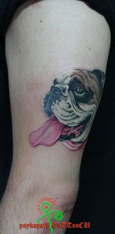 Discover 19 Tattoos and bulldog tattoo ideas | tattoos, bulldog, dog tattoos  and more