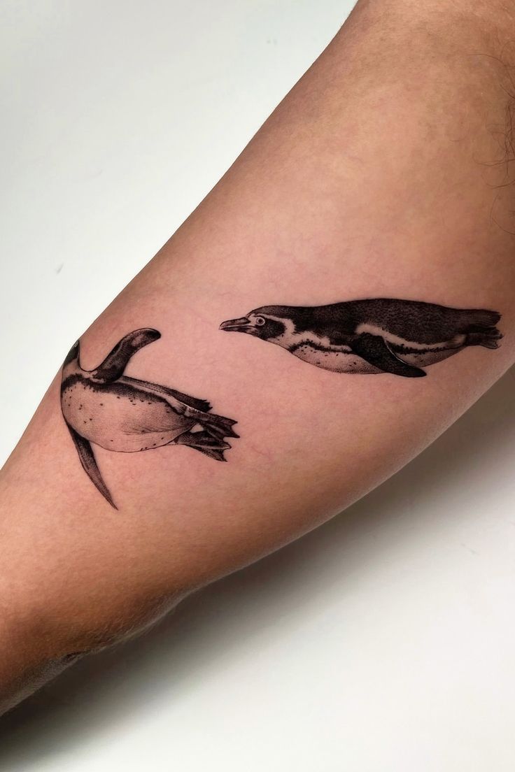 17 Unique Cute Penguin Tattoo Design