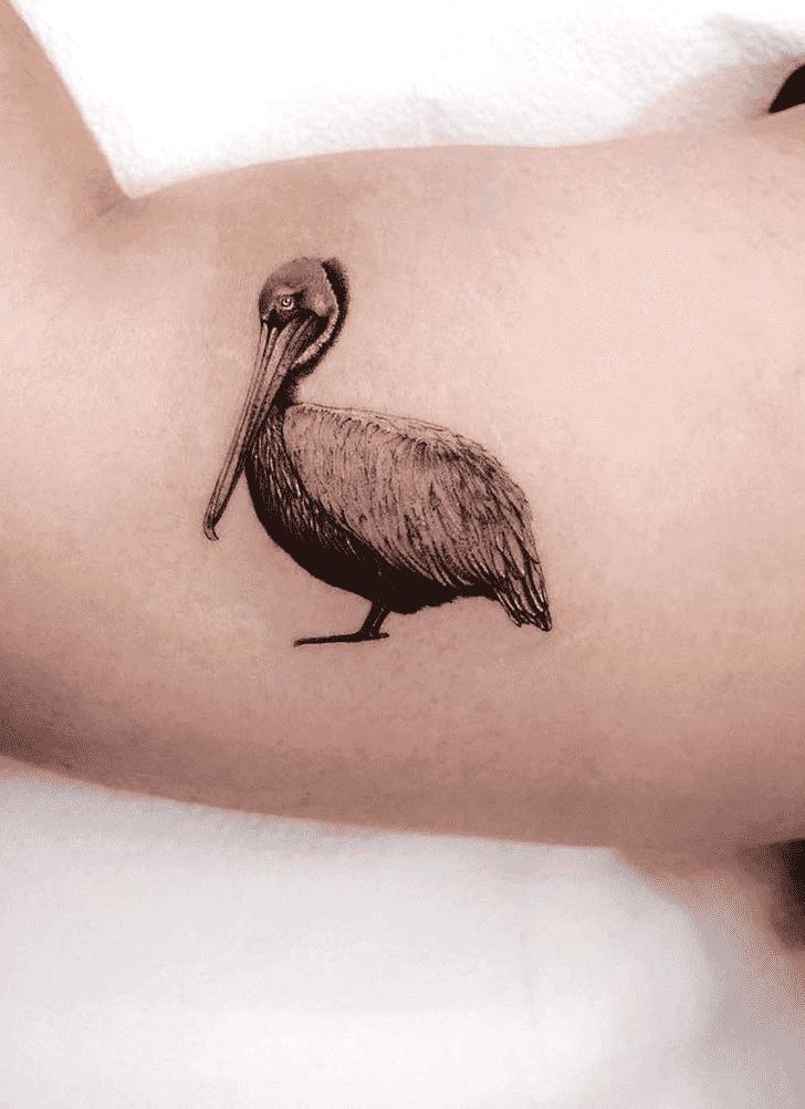 Pelican Tattoo Design Ideas Images