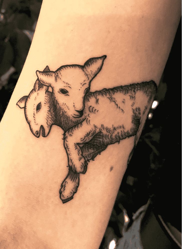 Sheep Tattoo Design Ideas Images