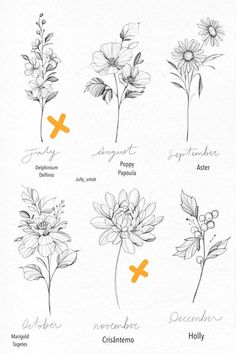 32 Birth Flower Ideas in 2025 | birth flower tattoos, flower tattoos, birth  flowers