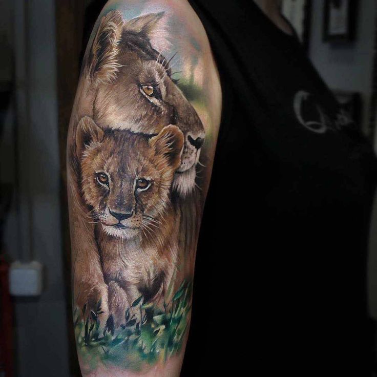 12+ Best Lion Cub Tattoo Designs