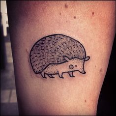 26 Best Hedgehog Tattoo ideas | hedgehog tattoo, hedgehog, art tattoo