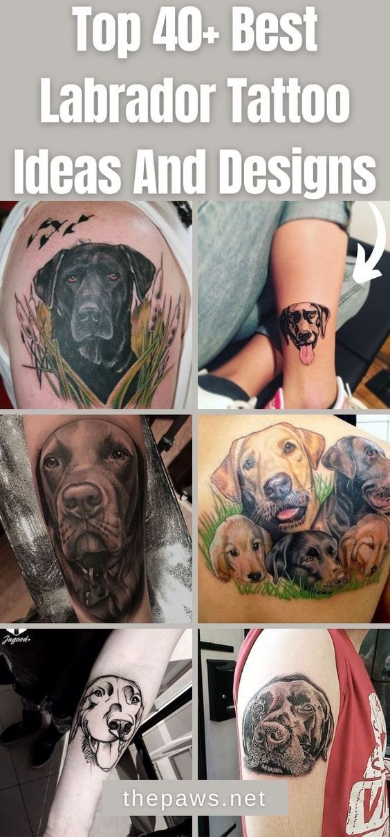 Top 40+ Best Labrador Tattoo Ideas And Designs - The Paws