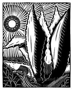 12 Agave Tattoo ideas | agave, agave plant, engraving illustration