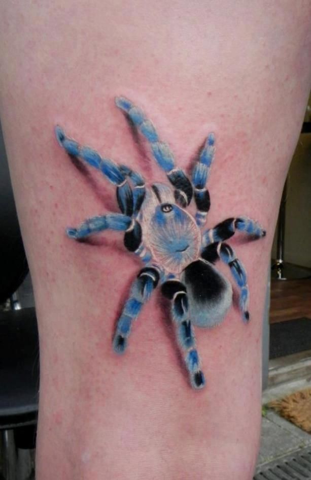 Best Spider Tattoo Designs – Our Top 29