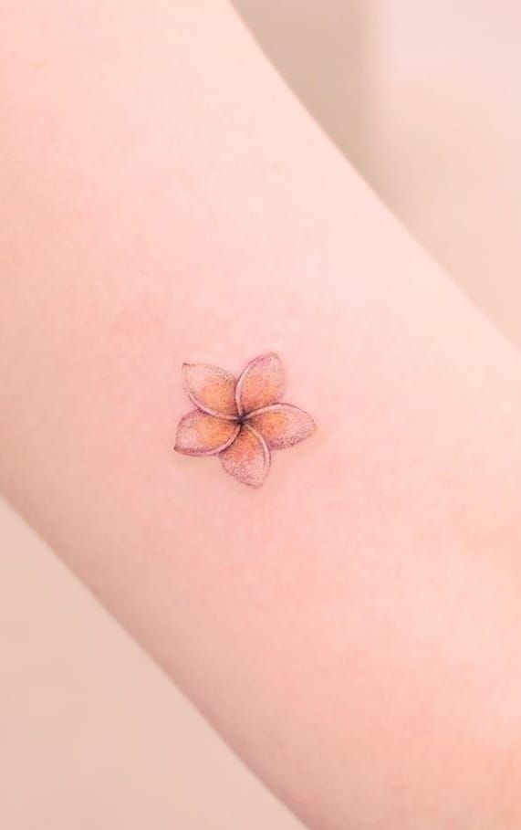 What Do Plumeria Tattoos Symbolize? | Plumeria tattoo, Inspirational tattoos, Petite tattoos