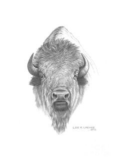 1000+ ideas about Buffalo Tattoo on Pinterest | Bison Tattoo ...