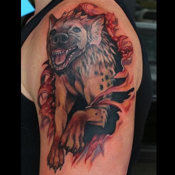 Site Suspended - This site has stepped out for a bit