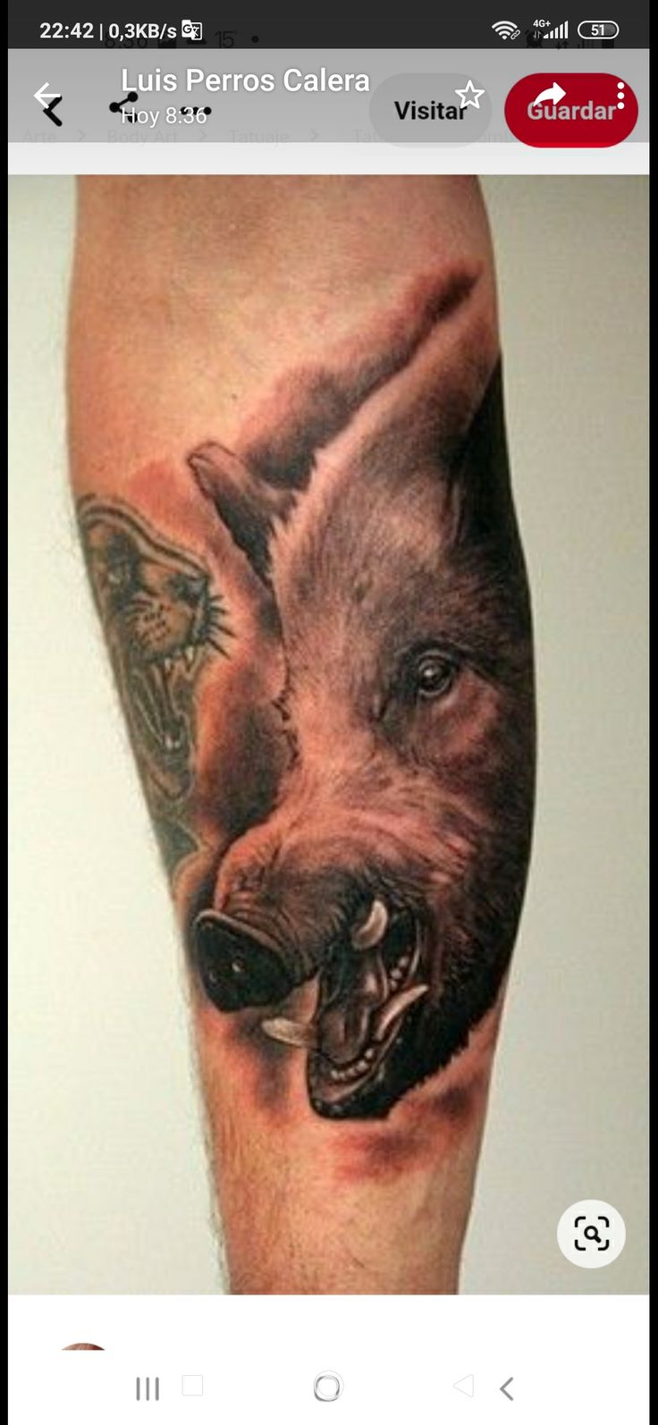 Pin de Jamie Weaver en sweet | Tatuajes de animales, Arte animales peludos,  Animales salvajes