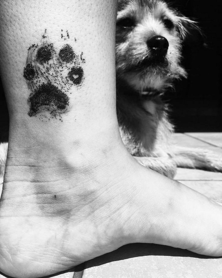 25 Dog Paw Tattoo Ideas to Showcase the Special Bond with Your Canine