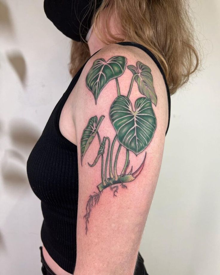 plant