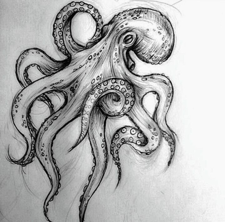 245+ Superior Kraken Tattoos Ideas (2024)