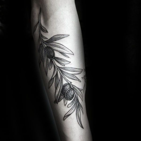 70 Artistic Olive Branch Tattoo Designs for Men
