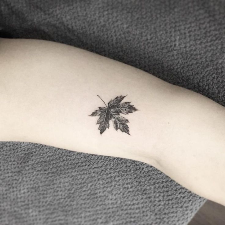 Maple Leaf Tattoo Meaning And Ideas For Men And Women 🍁