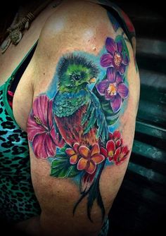 90 Pelican Tattoos ideas in 2025 | pelican tattoo, tattoos, pelican