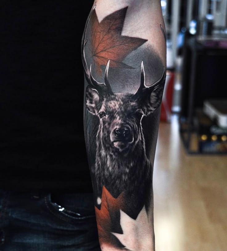 Pin by Narcys Narcy on Quick Saves | Deer tattoo designs, Deer tattoo, Elk  tattoo