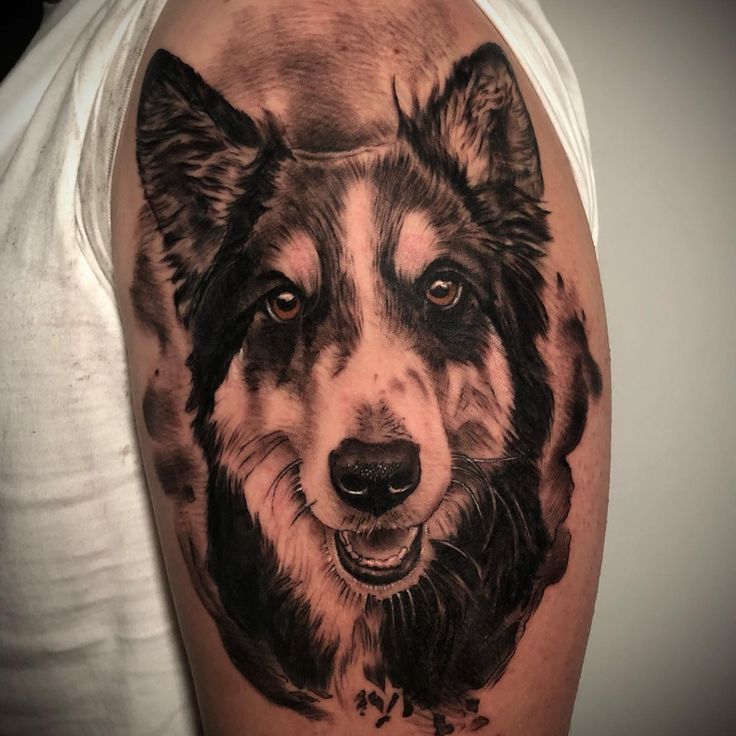 Border Collie Tattoo, collie tattoo, minimalist border collie tattoo,  border collie tattoo simple