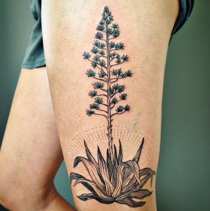 Pin by Amanda McGillicuddy on Girly. | Plant tattoo, Tattoos, Sleeve tattoos