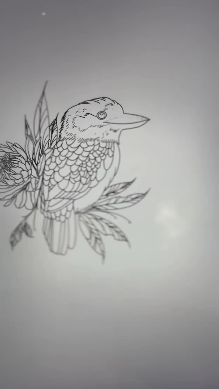 Kookaburra Tattoo Fine Line