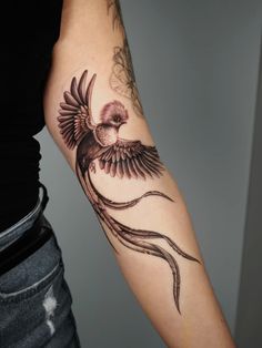 Discover 230 Tattoo and Guatemala Tattoo Ideas Design Ideas | mayan tattoos, quetzal outline, watercolor bird tattoo and more