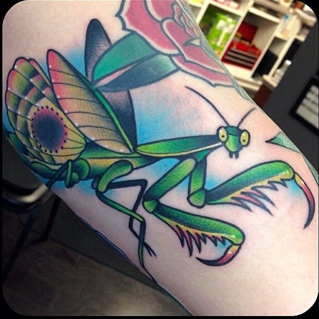 Discover 12 Praying Mantis Traditional Tattoo and Mantis Tattoo Ideas | insect tattoo, bug tattoo, praying mantis scientific illustration and more