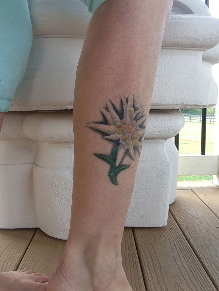 Edelweiss tattoo, Flower tattoo meanings, Tattoos