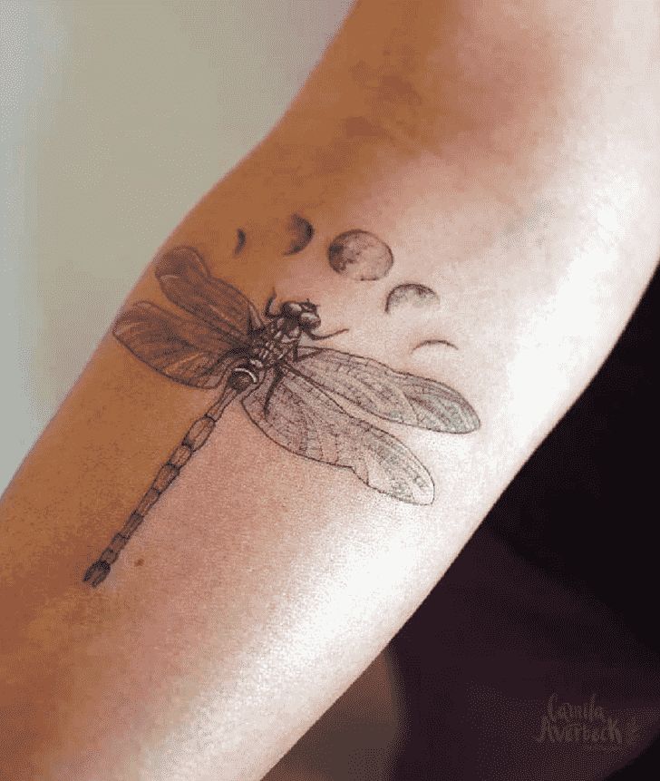 Dragonfly Tattoo Design Ideas Images