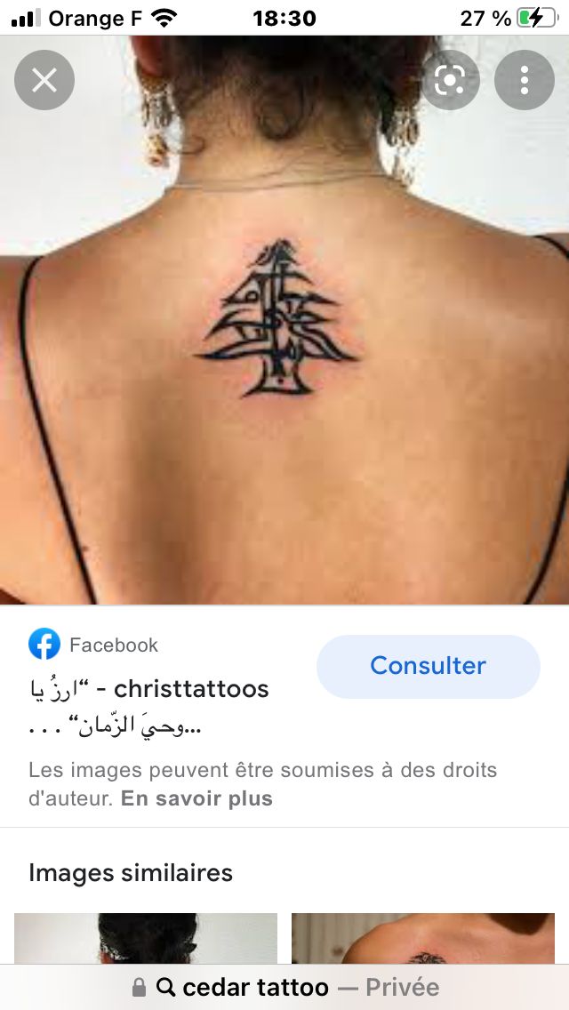 Épinglé par Sabrina Kebbab sur Tatouage cèdre du Liban | Tatouage