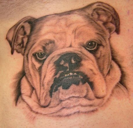 Top 40+ Best English Bulldog Tattoo Ideas And Designs - The Paws