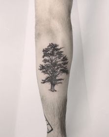 25 Best Lebanese tattoo ideas! | cedar trees, lebanese, lebanon flag