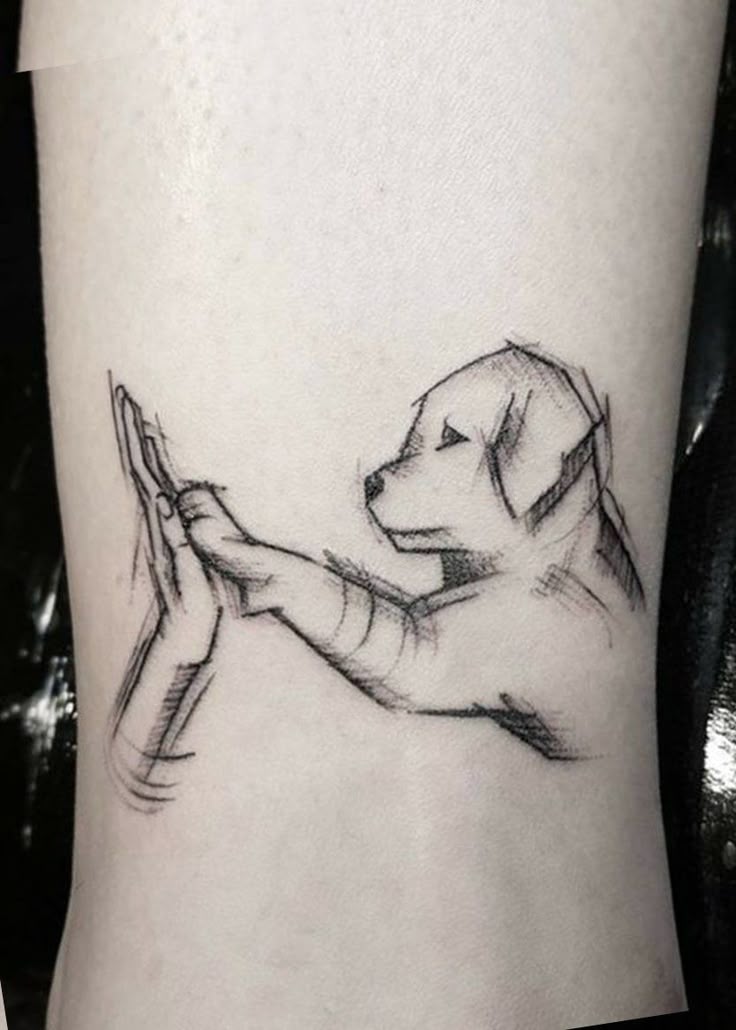 mascota