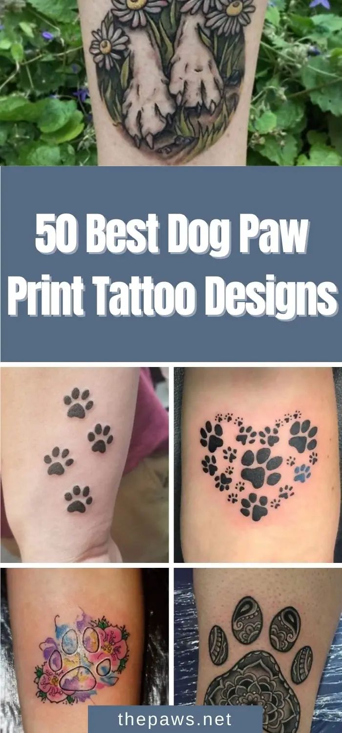 50 Best Dog Paw Print Tattoo Designs - The Paws