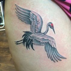 11 Loon tattoo ideas | loon tattoo, loon, common loon