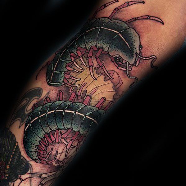 50 Centipede Tattoo Designs for Men