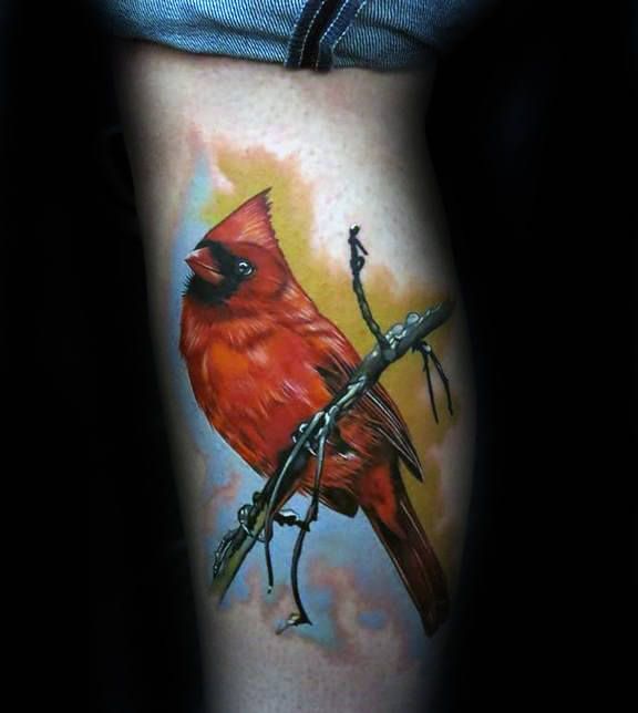 60 Cardinal Tattoo Designs for Men