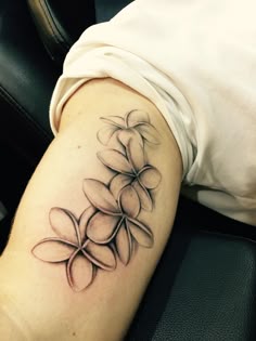 12 Plumeria tattoo ideas | plumeria tattoo, flower tattoos, frangipani tattoo