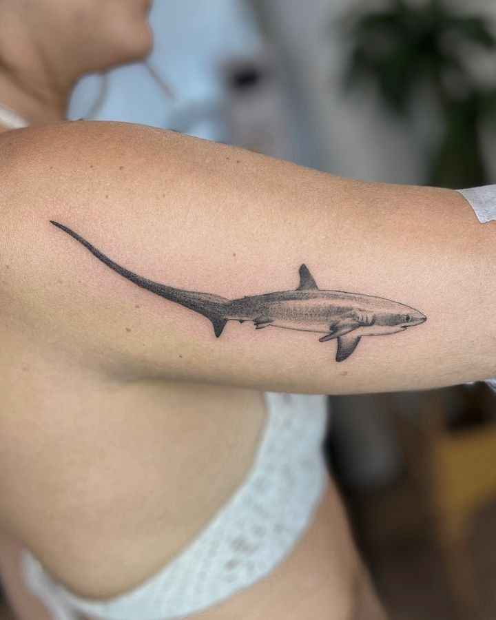 small shark tattoos • Instagram