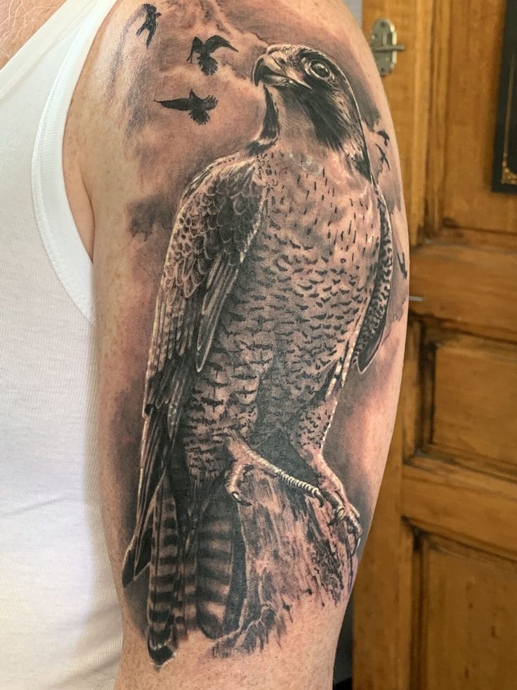 215+ Hawk Tattoos Ideas and Designs (2024)