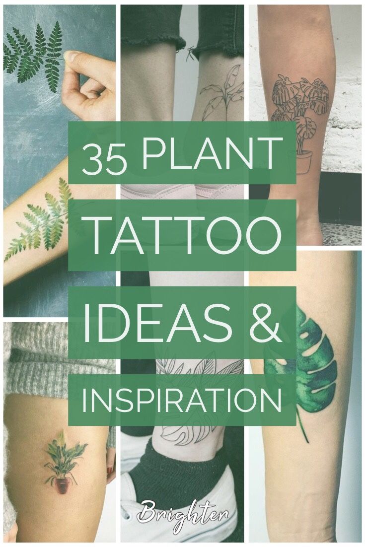 35 Plant Tattoo Ideas & Inspiration - Brighter Craft