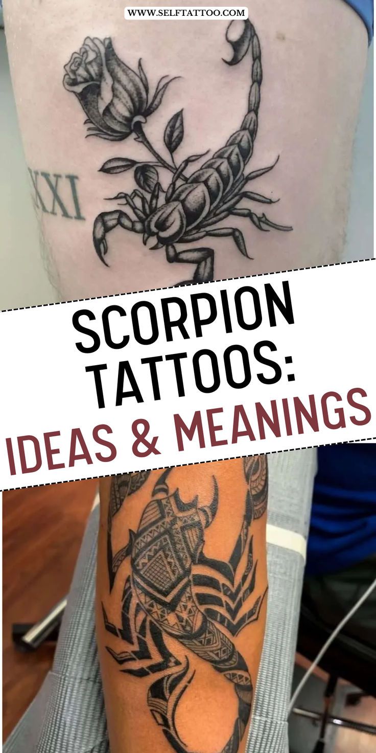Scorpion Tattoos: Trendy Tattoo Ideas & Meanings