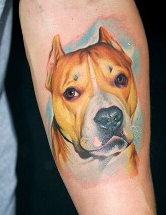 Pitbull