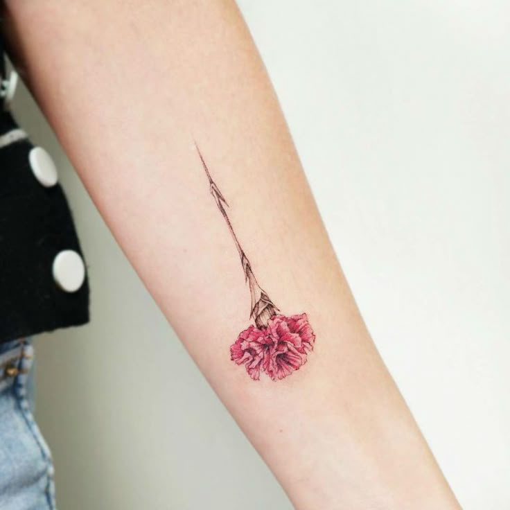 27 Beautiful Carnation Tattoo Ideas and Their Symbolism