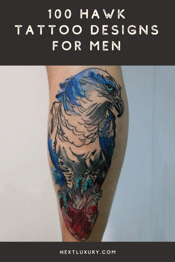 100 Hawk Tattoo Designs For Men - Masculine Bird Ink Ideas
