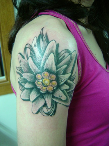 Edelweiss tattoo